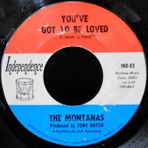 7 / THE MONTANAS / YOU'VE GOT TO BE LOVED / DIFFERENCE OF OPINION