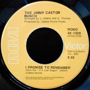 7 / THE JIMMY CASTOR BUNCH / I PROMISE TO REMEMBER / TROGLODYTE
