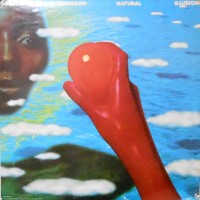 LP / BOBBY HUTCHERSON / NATURAL ILLUSIONS