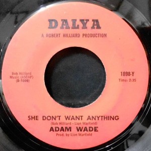 7 / ADAM WADE / SHE DON'T WANT ANYTHING / GIRL ON THE BEACH