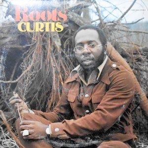 LP / CURTIS MAYFIELD / ROOTS