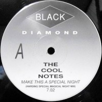 12 / THE COOL NOTES / MAKE THIS A SPECIAL NIGHT (HARDING SPECIAL MAGICAL NIGHT MIX) / (FORDY'S NIGHT MAGIC SPECIAL MIX)