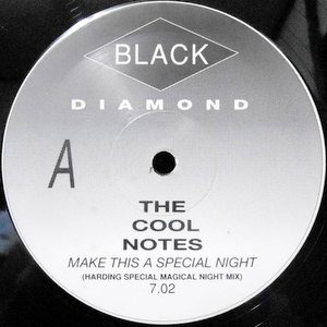 12 / THE COOL NOTES / MAKE THIS A SPECIAL NIGHT (HARDING SPECIAL MAGICAL NIGHT MIX) / (FORDY'S NIGHT MAGIC SPECIAL MIX)