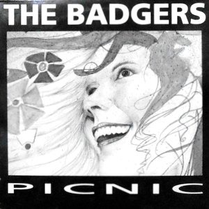 12 / THE BADGERS / PICNIC