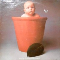 LP / BARCLAY JAMES HARVEST / BABY JAMES HARVEST