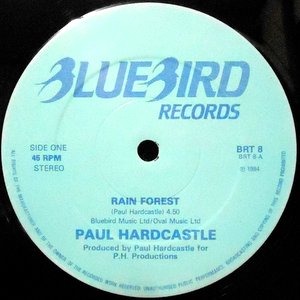 12 / PAUL HARDCASTLE / RAIN FOREST / SOUND CHASER