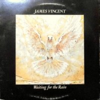 LP / JAMES VINCENT / WAITING FOR THE RAIN