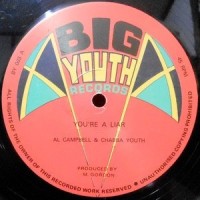 12 / AL CAMPBELL & CHABBA YOUTH / YOU'RE A LIAR / COMBINATION TWO