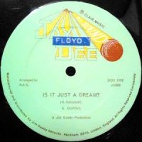 12 / D. DUFFERS / IS IT JUST A DREAM? / CHEATER