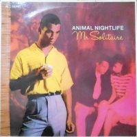 12 / ANIMAL NIGHTLIFE / MR SOLITAIRE