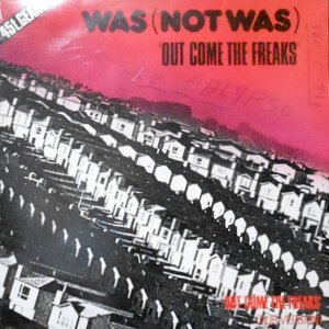 12 / WAS (NOT WAS) / OUT COME THE FREAKS / (DUB VERSION)