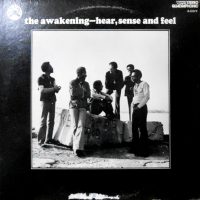 LP / THE AWAKENING / HEAR, SENSE AND FEEL