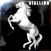 LP / STALLION / STALLION