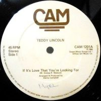 12 / TEDDY LINCOLN / IF IT'S LOVE THAT YOU'R LOOKING FOR