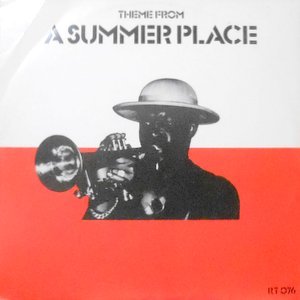 12 / TAN TAN / THEME FROM A SUMMER PLACE