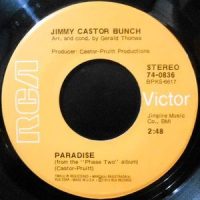 7 / JIMMY CASTOR BUNCH / PARADISE / THE FIRST TIME EVER I SAW YOUR FACE