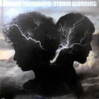 LP / JOHNNY HAMMOND / STORM WARNING