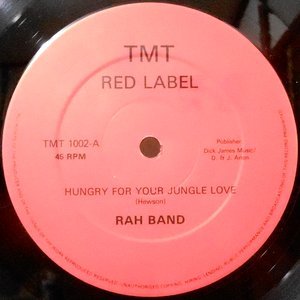 12 / RAH BAND / HUNGRY FOR YOUR JUNGLE LOVE / PARTY GAMES / TEARS AND RAIN