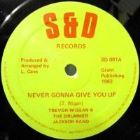 12 / TREVOR WIGGAN & THE DRUMMER JACKSON BAND / NEVER GONNA GIVE YOU UP