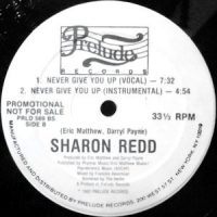 12 / SHARON REDD / NEVER GIVE YOU UP / (INSTRUMENTAL)