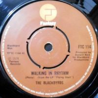 7 / THE BLACKBYRDS / WALKING IN THE RHYTHM / THE BABY