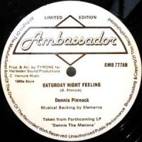 12 / DENNIS PINNOCK / THE FEELING / SATURDAY NIGHT FEELING