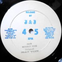 12 / DELROY WILSON / HONEY / HOMELY GIRL