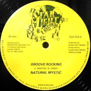 12 / NATURAL MYSTIC / GROOVE ROCKING