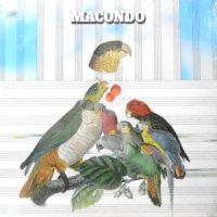 LP / MACONDO / MACONDO