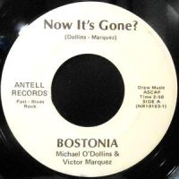 7 / BOSTONIA / NOW IT'S GONE? / IT'S GONE!