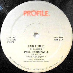 12 / PAUL HARDCASTLE / RAIN FOREST / SOUND CHASER