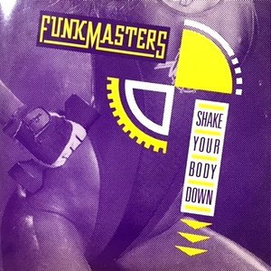12 / FUNK MASTERS / SHAKE YOUR BODY DOWN / RAP YOUR BODY DOWN