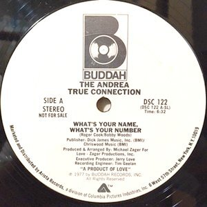 12 / ANDREA TRUE CONNECTION / WHAT'S YOUR NAME, WHAT'S YOUR NUMBER