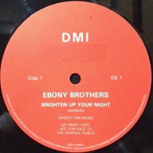 12 / EBONY BROTHERS / BRIGHTEN UP YOUR NIGHT / (DUBSTITUTE VERSION)