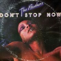 LP / THE BROTHERS / DON'T STOP NOW