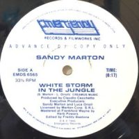 12 / SANDY MARTON / WHITE STORM IN THE JUNGLE