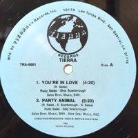 12 / TIERRA / YOU'RE IN LOVE / PARTY ANIMAL / MIND GAMES