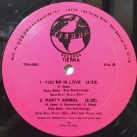 12 / TIERRA / YOU'RE IN LOVE / PARTY ANIMAL / MIND GAMES