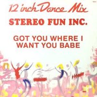 12 / STEREO FUN INC. / GOT YOU WHERE I WANT YOU BABE / GOTCHA BABE (DUB MIX)