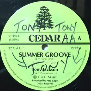 12 / TONY JACKSON / SUMMER GROOVE (TROPICAL MIX)