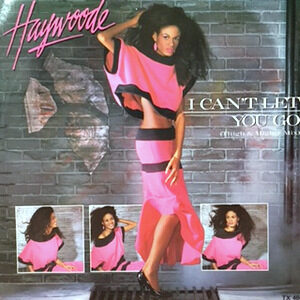 12 / HAYWOODE / I CAN'T LET YOU GO (THIGH AND MIGHTY MIX)