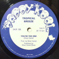 12 / TROPICAL BREEZE / YOU'RE THE ONE / ONE + ONLY DUB