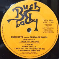 12 / BUSH BOYS FEATURING DEBRALEE SMITH / WE'VE GOT THE LOVE