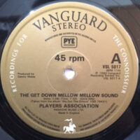 12 / PLAYERS ASSOCIATION / THE GET DOWN MELLOW MELLOW SOUND / MORE THAN A LITTLE BIT