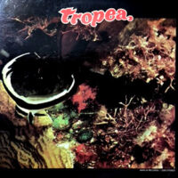 LP / TROPEA / TROPEA
