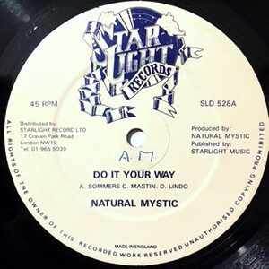 12 / NATURAL MYSTIC / DO IT YOUR WAY
