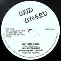 12 / BAD BREED BAND (FEATURING) MAXI PRIEST / HEY LITTLE GIRL