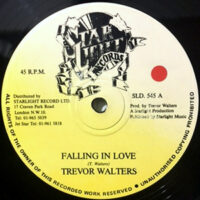 12 / TREVOR WALTERS / FALLING IN LOVE