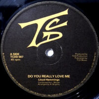 12 / LLOYD HEMMINGS / DO YOU REALLY LOVE ME