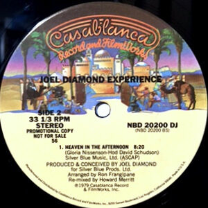 12 / JOEL DIAMOND EXPERIENCE / HEAVEN IN THE AFTERNOON